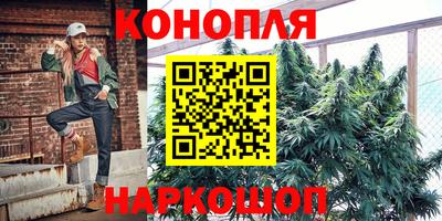 стафф Аргун
