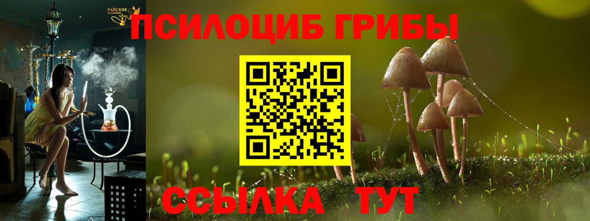 Бошки Шишки  Ачхой-Мартан  Вход с VPN  Кокаин  Меф кристаллы  Гашиш  Экстази 