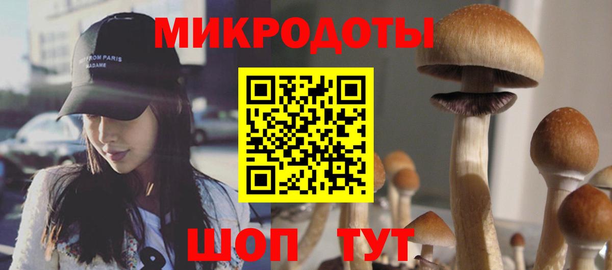 Галлюциногенные грибы Cubensis Ачхой-Мартан