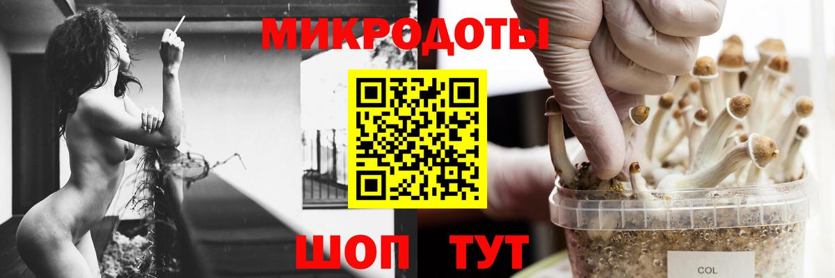 Ачхой-Мартан  Галлюциногенные грибы Cubensis  Вход с VPN  Галлюциногенные грибы мухоморы 