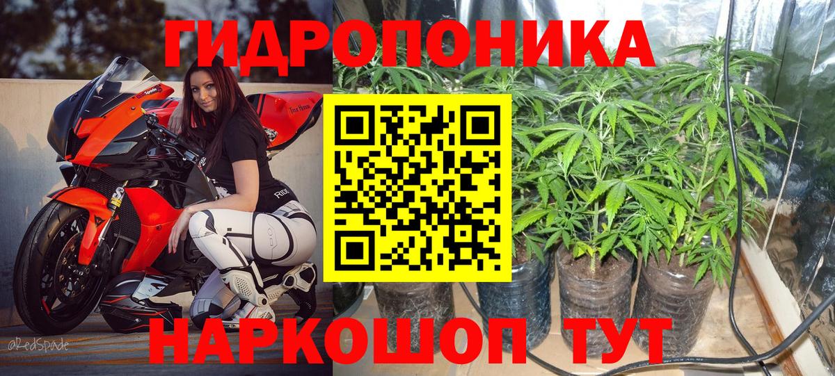 Ачхой-Мартан  Канабис семена  МАРИХУАНА MAZAR  Вход с VPN 